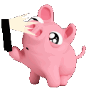 :3HC_PigaSelfiee: