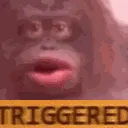 DD_monkemad