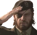salute