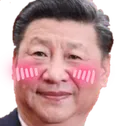 xiflushed