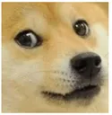 doge Discord Emoji