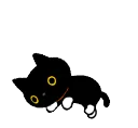 nyankoRoll nyankoRoll