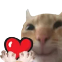 catheart