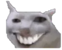 catsmiley
