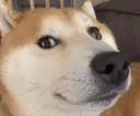 GregStareBack