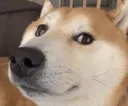 GregStare GregStare