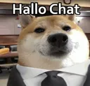 Hallo