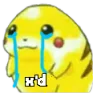pika_lloron