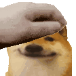 shibpat Discord emoji