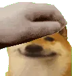 shibpat