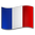 French_flag Discord emoji