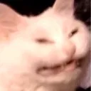 Cringe_cat