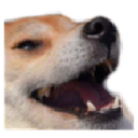 KEKDog Discord emoji