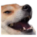KEKDog