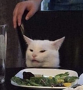 catsalad Discord emoji