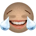 xddd xddd