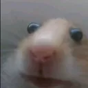 4049