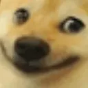him