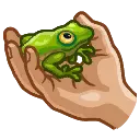 Holdfrog
