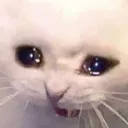 PS_michisad Discord Emoji