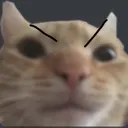 MadCat MadCat