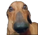 hey