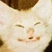 5737happicat