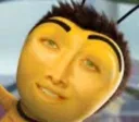 Yo