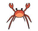 Crabdance