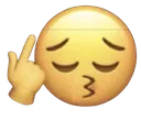 bitch