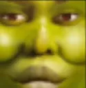 yoink yoink