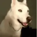 iheardthatismytimetosimp iheardthatismytimetosimp