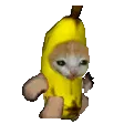 BananaCatRun