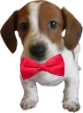 FullTie