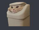 catbin
