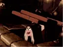 witchcackle witchcackle
