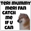 catch_me_if_u_can Discord Emoji