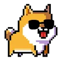ShoobCool