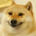 Doggo Hehe Discord Emoji