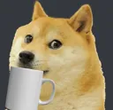dogesip