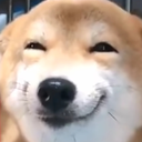 dog Discord emoji
