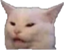CatWhat Discord emoji