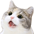 CatWow Discord emoji