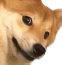 shibconcern shibconcern