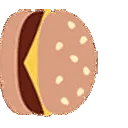 shibborgar4