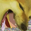 shibborgar5