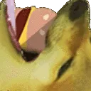 shibborgar3
