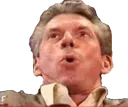 vgasm
