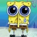 sadsponge