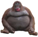uhoh uhoh